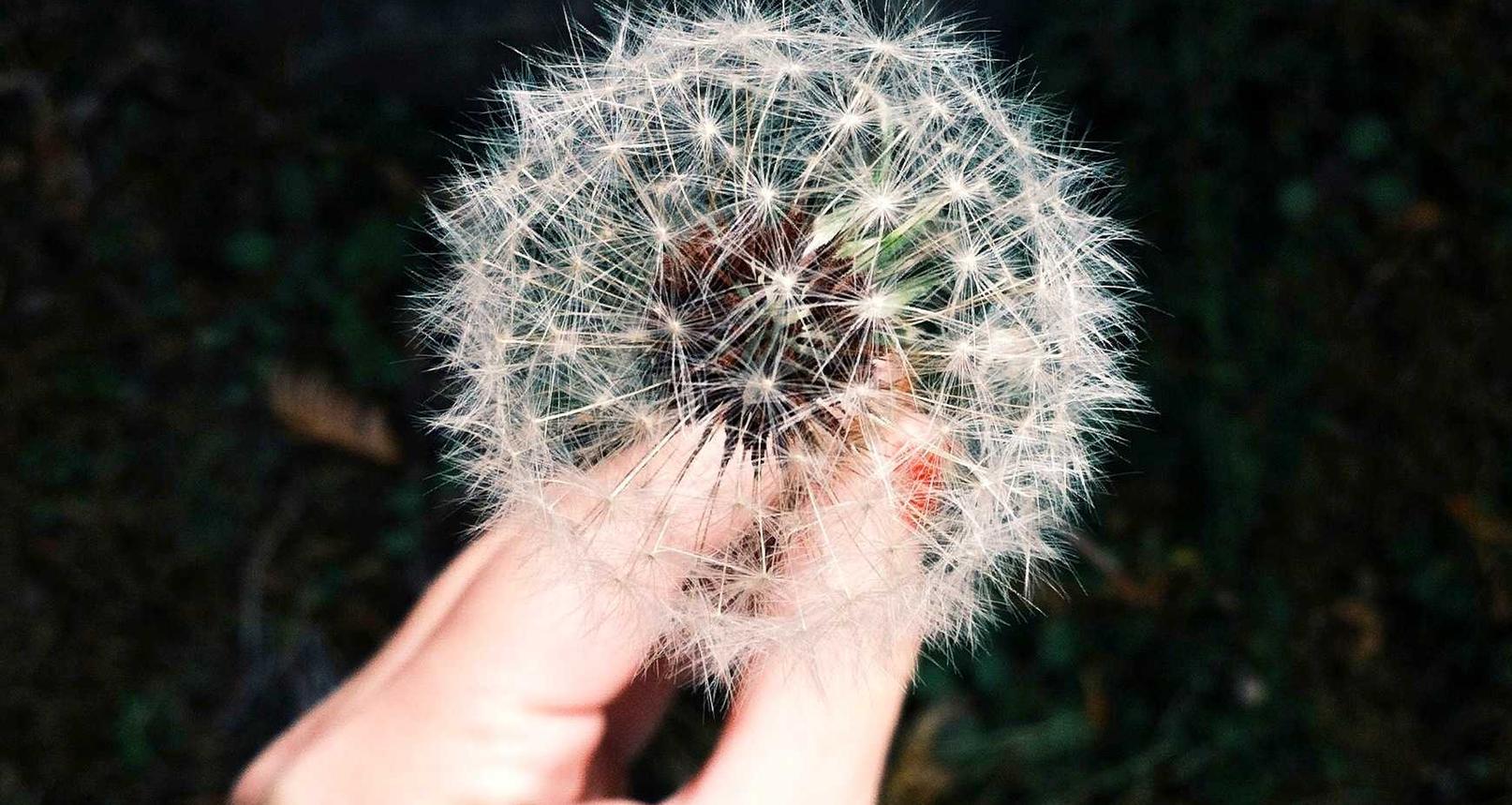 炸房器|河南郑州代理注册公司