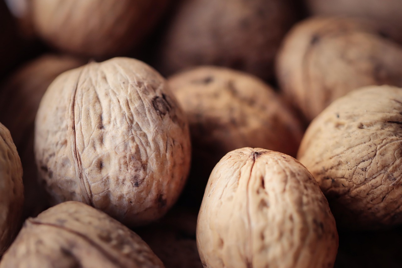 星座娱乐，注册|第三方谷歌浏览器账号注册