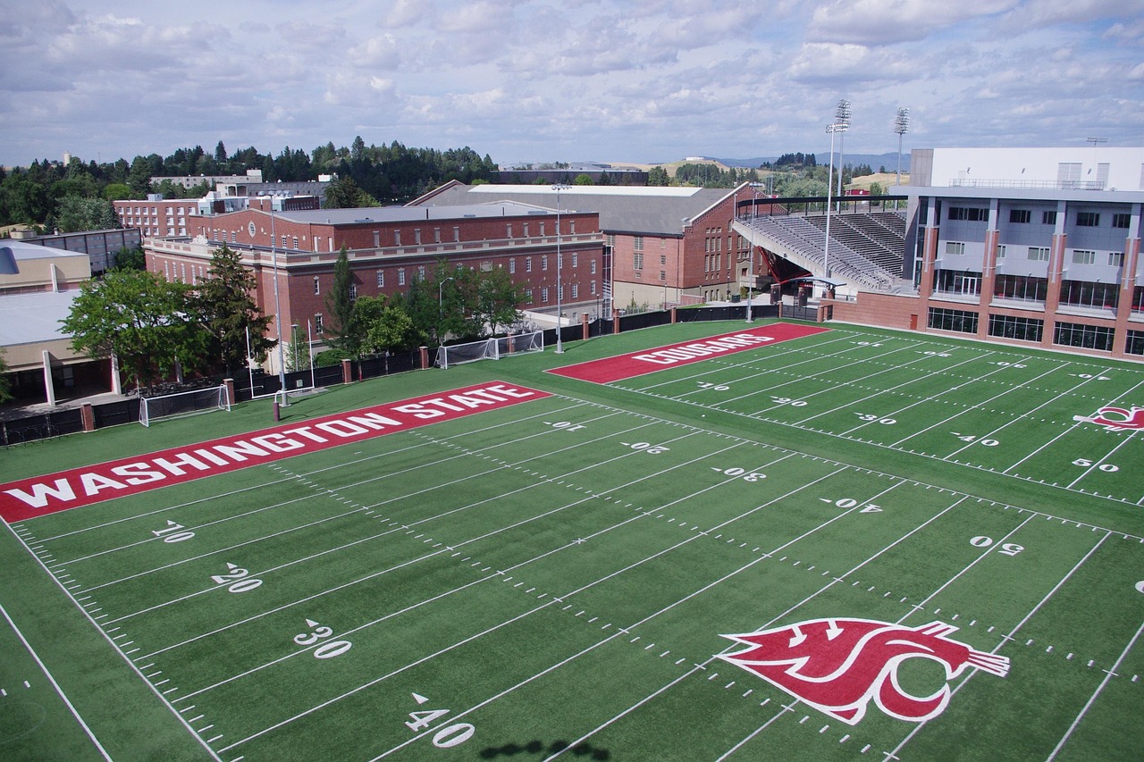 菠萝云实名账号：闵行区代理注册公司中介