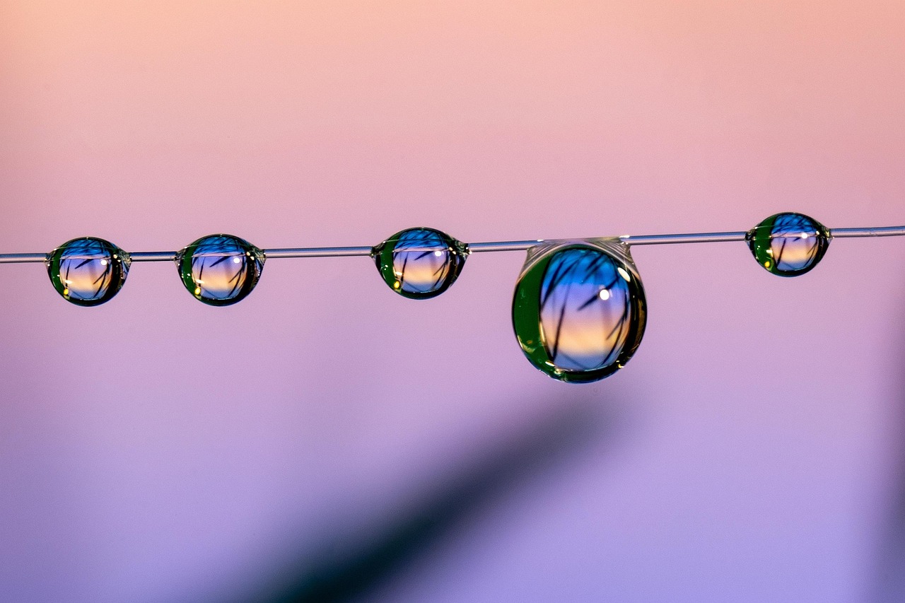 V粉卡实名账号：威锋app详情下载教程