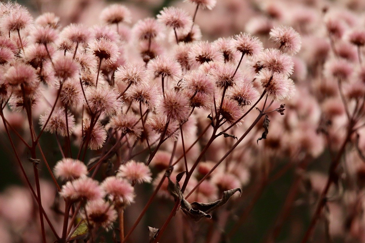 琳琅新电脑怎么购买游戏账号